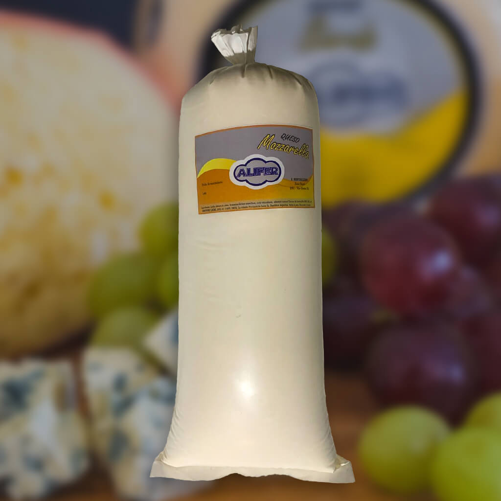 imagen queso mozzarella cilindro